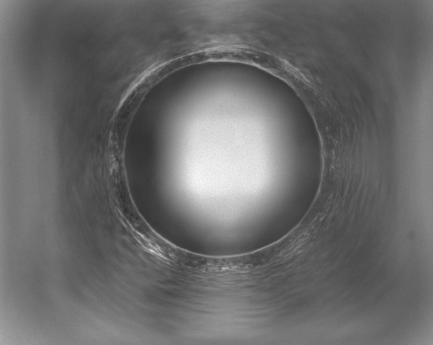 X0000052991400200507221208