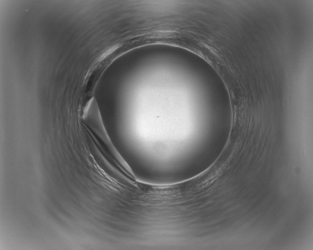 X0000052991402200507221208