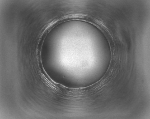 X0000052991404200507221208