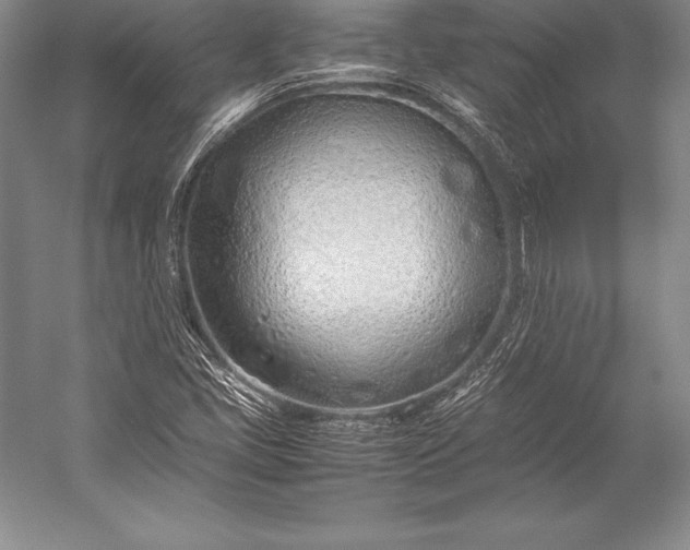 X0000052991405200507221208