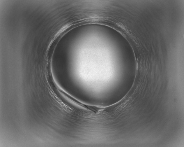 X0000052991410200507221208