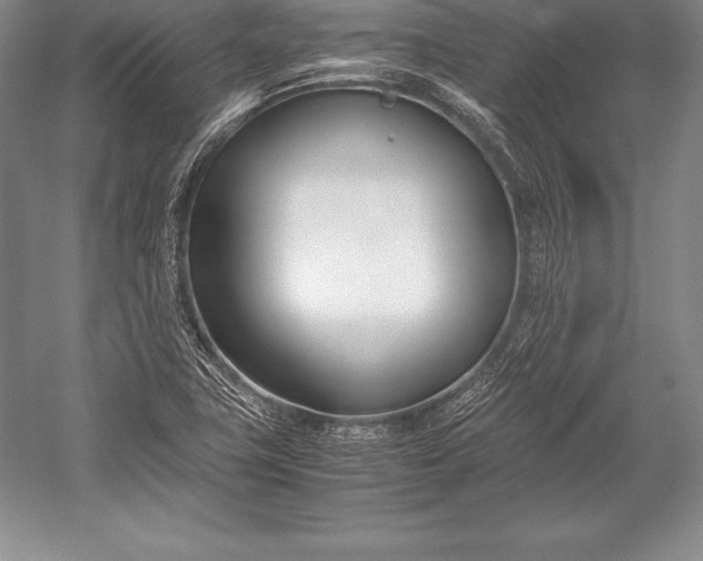 X0000052991411200507221208