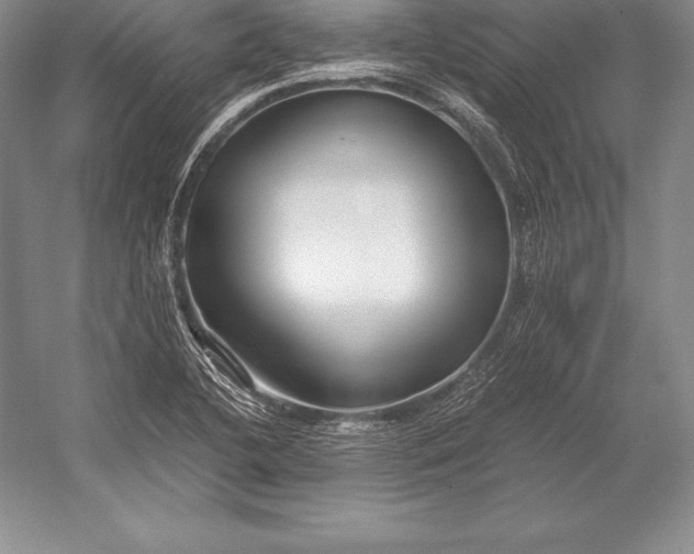 X0000052991412200507221208