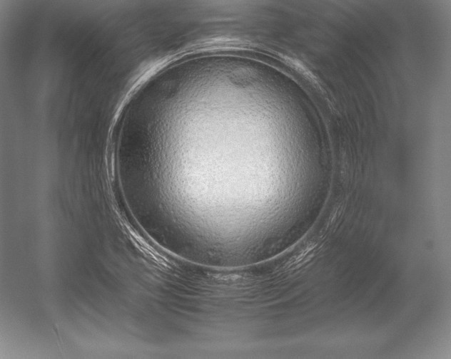 X0000052991413200507221208