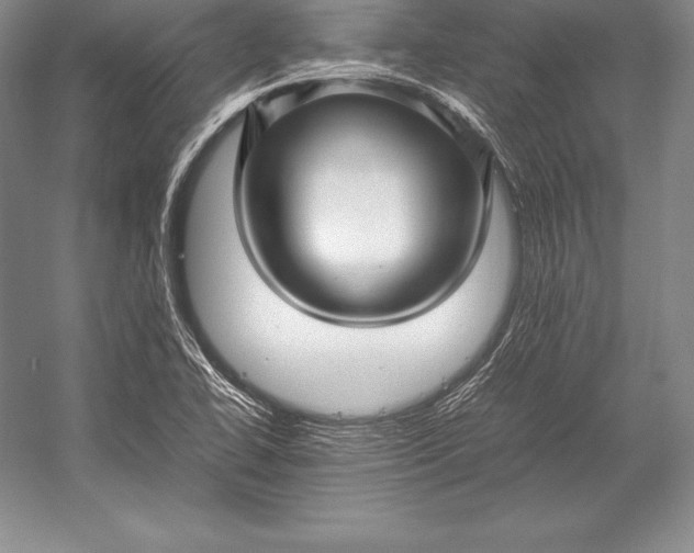X0000052991414200507221208