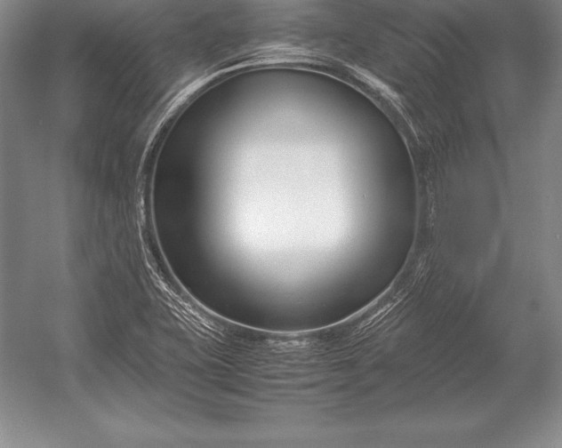 X0000052991415200507221208