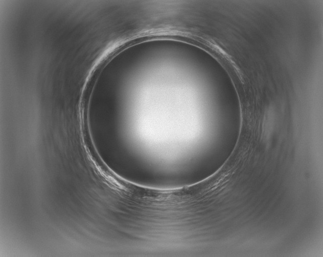 X0000052991416200507221209