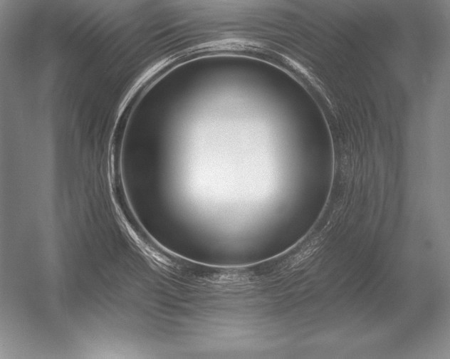 X0000052991418200507221209