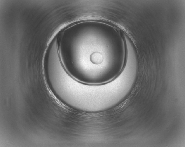 X0000052991422200507221209