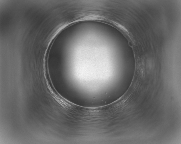 X0000052991423200507221209