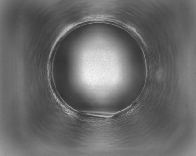 X0000052991424200507221209