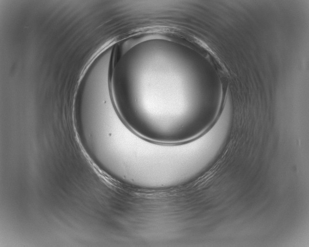 X0000052991426200507221209