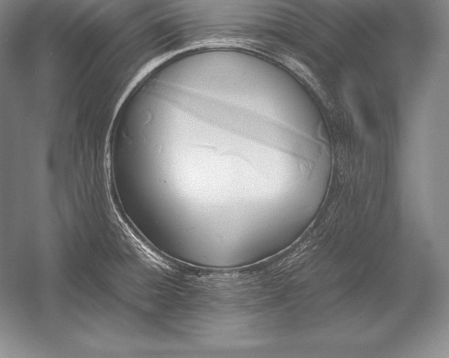 X0000052991428200507221209