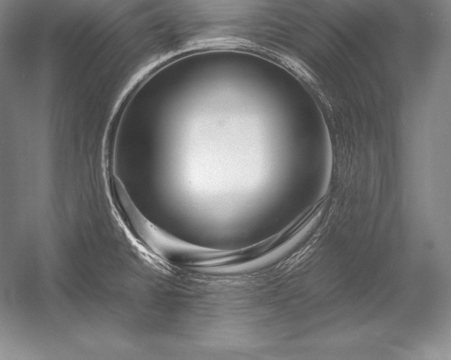 X0000052991430200507221209