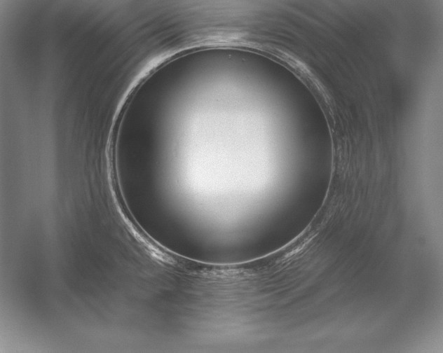 X0000052991432200507221209