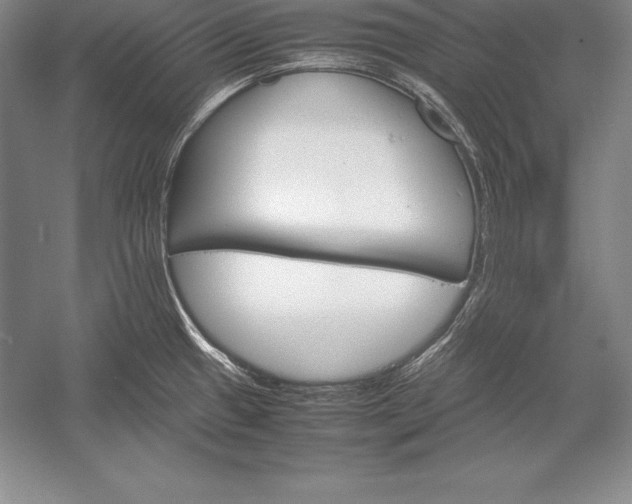 X0000052991433200507221209
