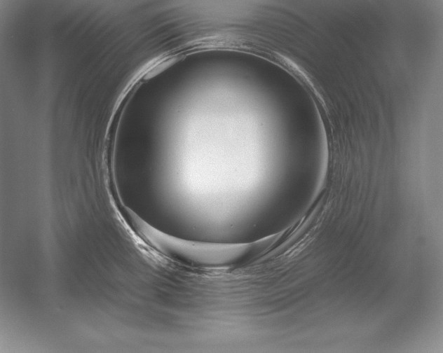 X0000052991434200507221209