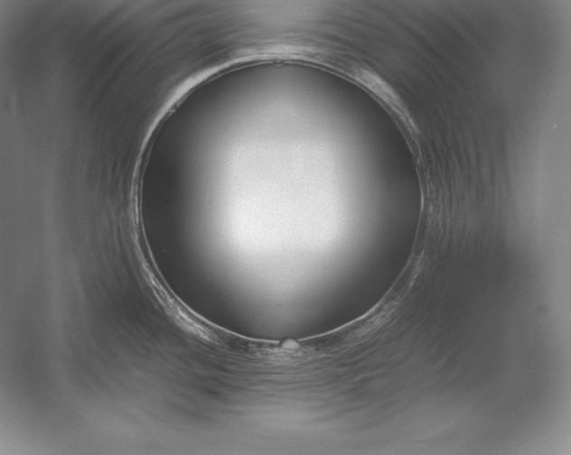 X0000052991436200507221209