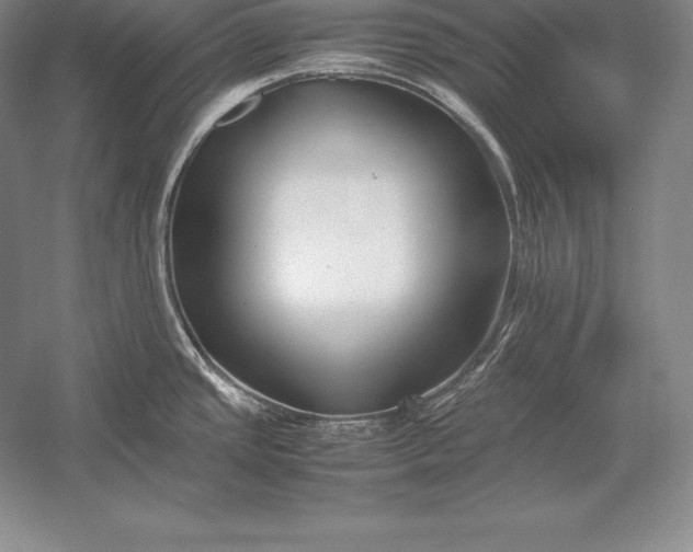 X0000052991437200507221209