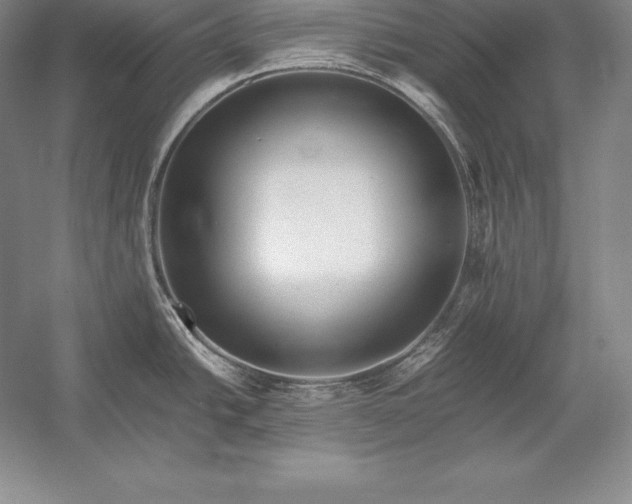 X0000052991438200507221209