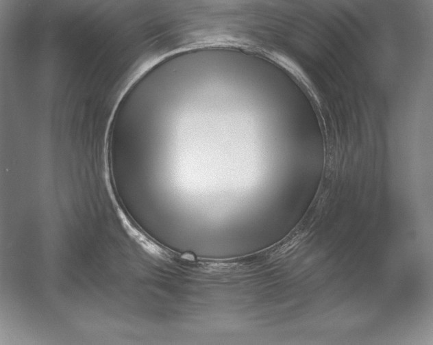 X0000052991439200507221209