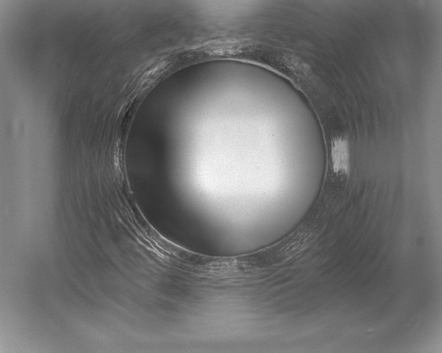 X0000052991444200507221208