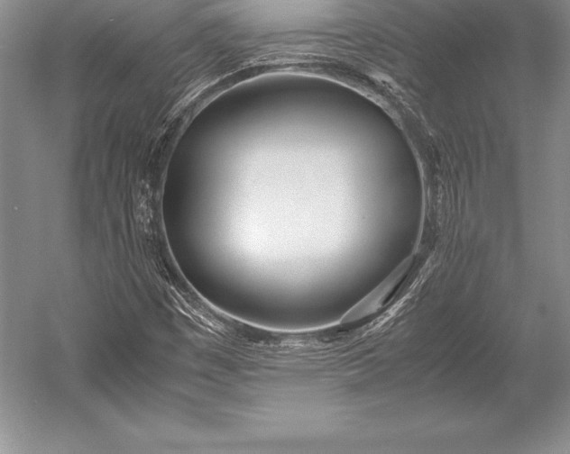 X0000052991449200507221208