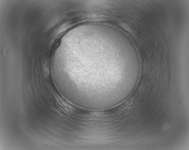 X0000052991451200507221208