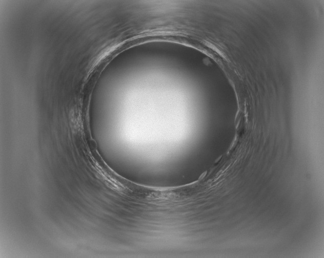 X0000052991452200507221208