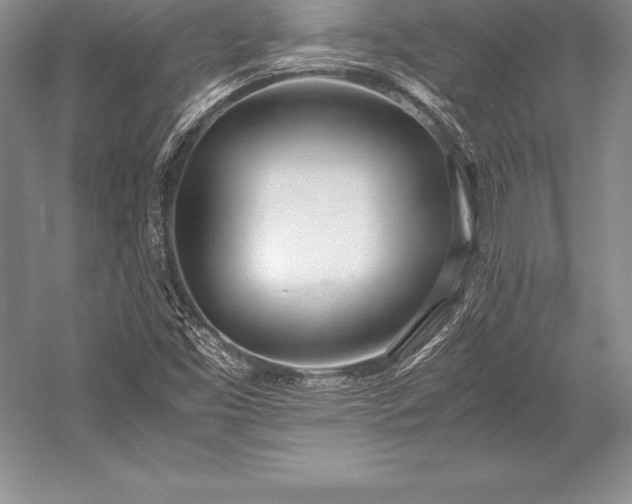 X0000052991453200507221208