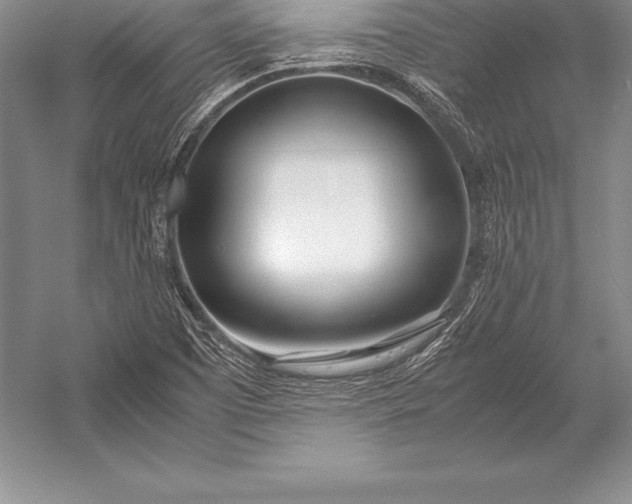 X0000052991457200507221208