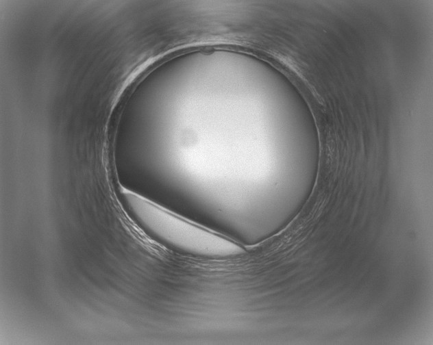 X0000052991460200507221208