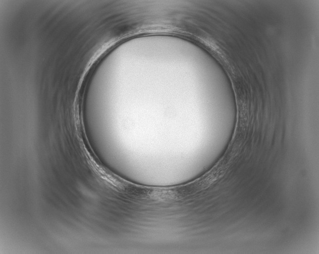 X0000052991466200507221208
