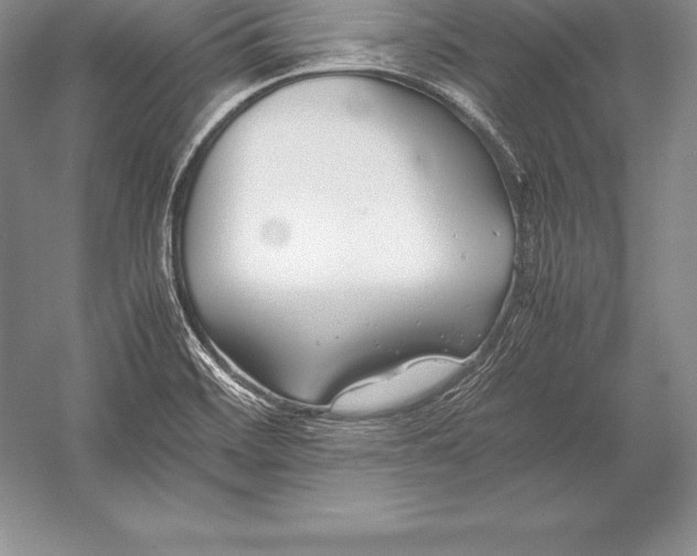X0000052991468200507221208