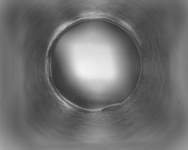X0000052991472200507221208