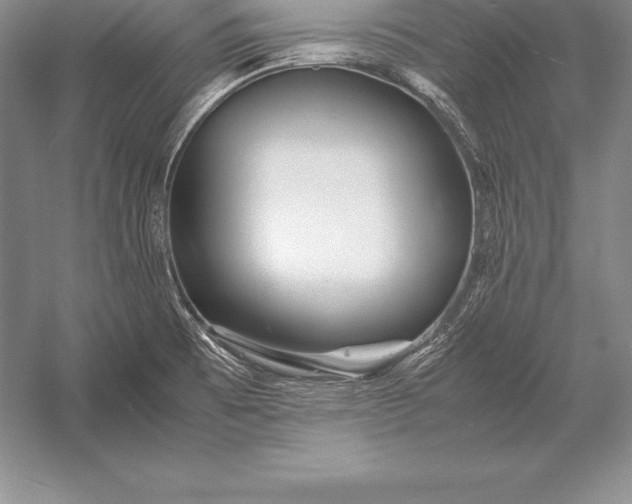 X0000052991473200507221208