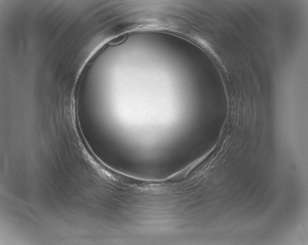 X0000052991476200507221208