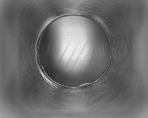 X0000052991479200507221207