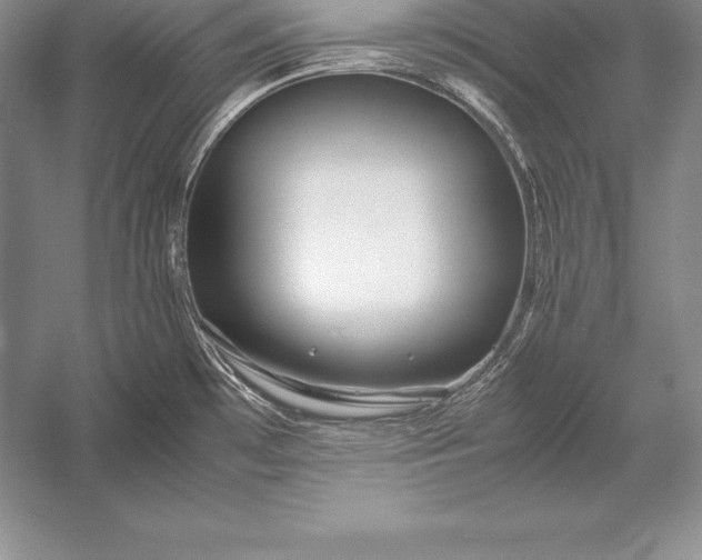 X0000052991481200507221207