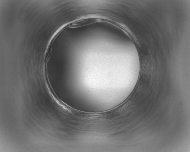 X0000052991484200507221207