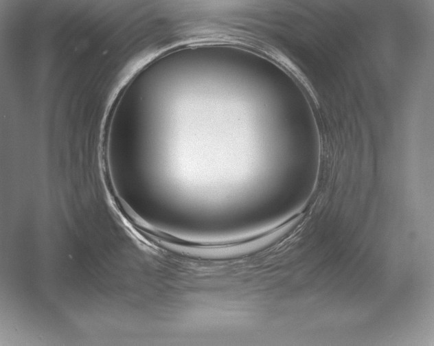 X0000052991485200507221207