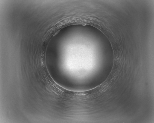 X0000052991490200507221207