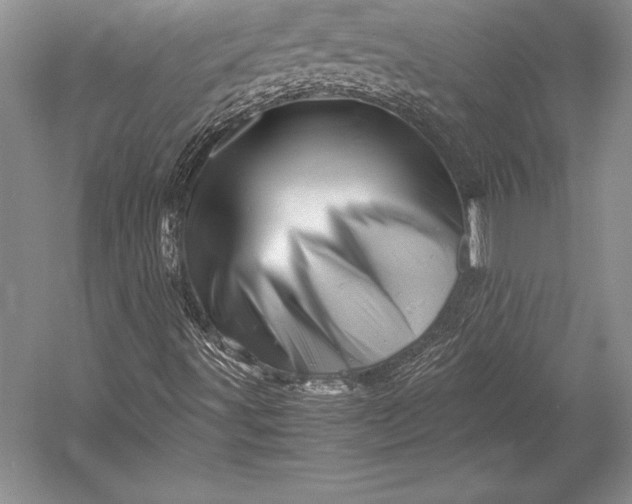 X0000052991491200507221207