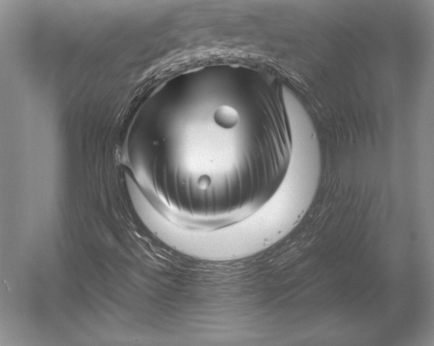 X0000052991492200507221207