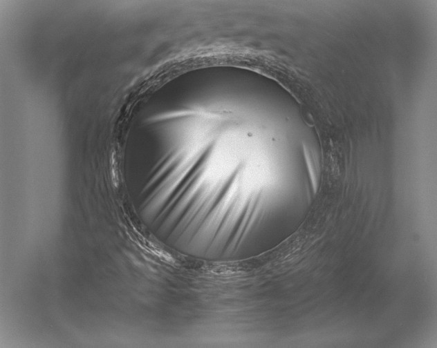 X0000052991493200507221207
