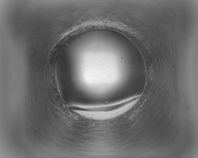 X0000052991494200507221207