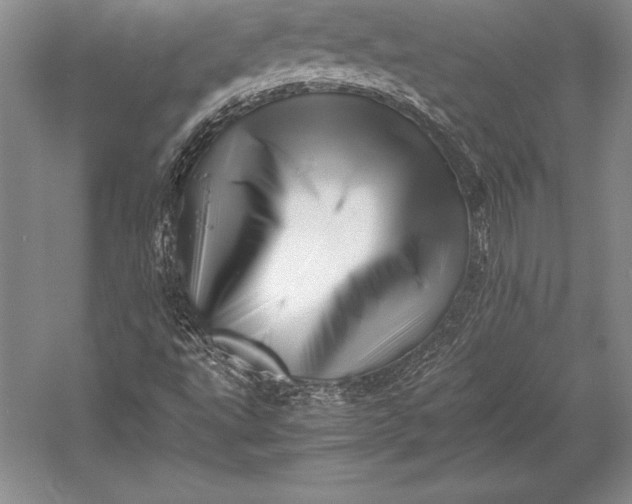X0000052991495200507221207