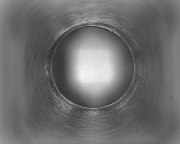 X0000052991497200507221207
