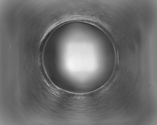 X0000052991501200507221207