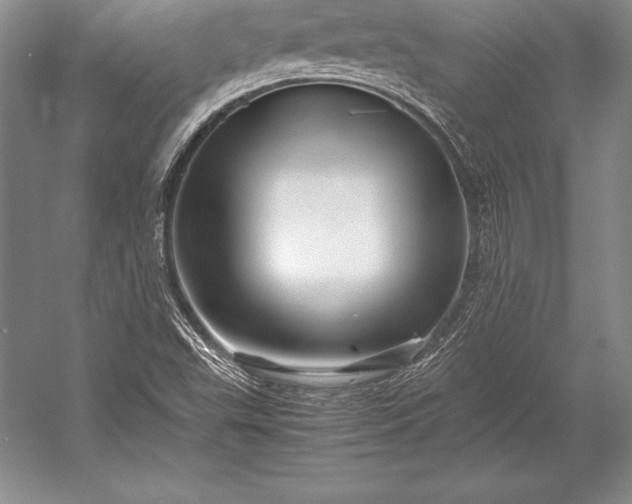 X0000052991503200507221207